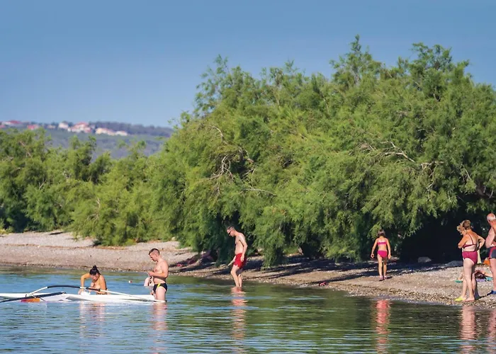 Cozy In 斯塔利格拉德-帕克利尼卡